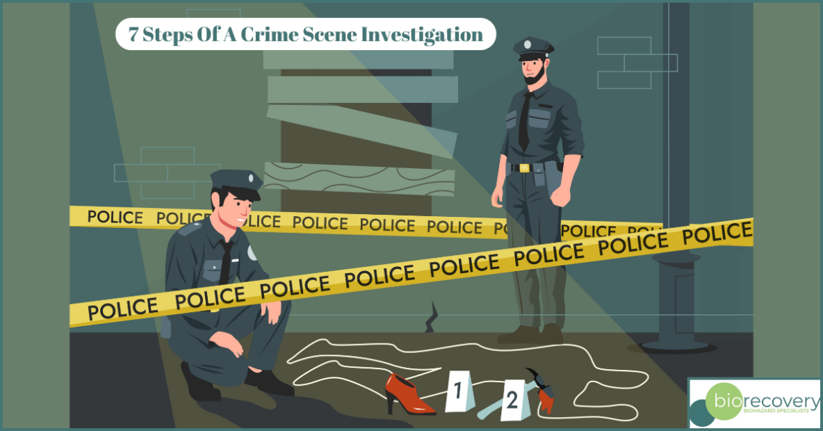 7 Steps Of A Crime Scene Investigation
