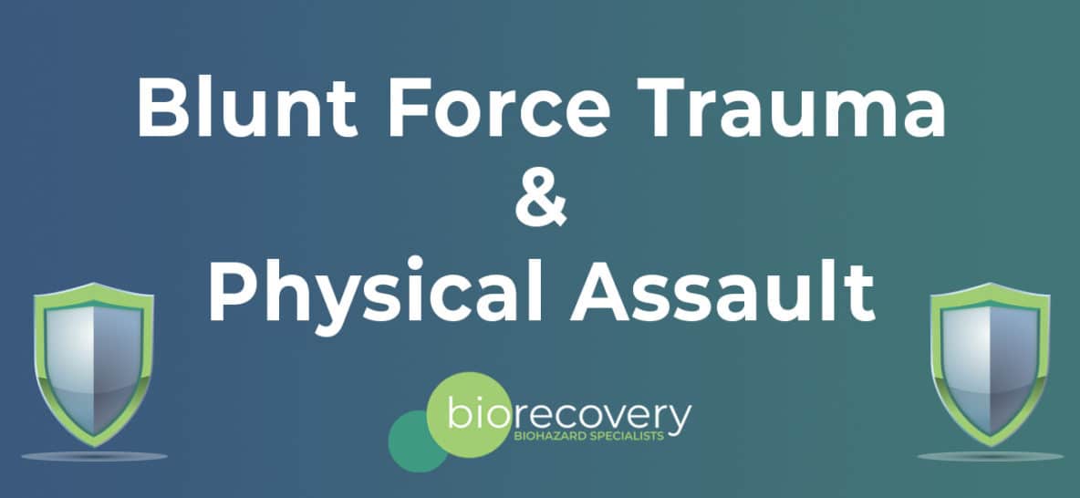 Blunt force trauma and physical assault text