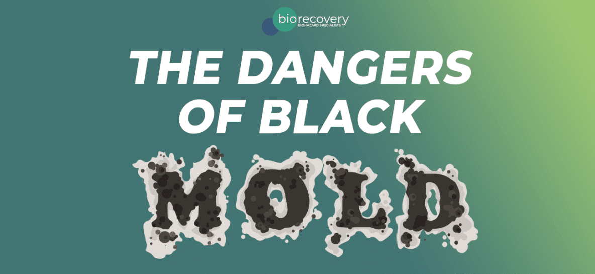 The dangers of black mold