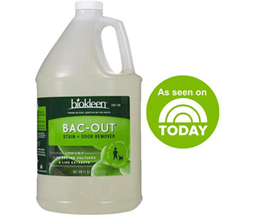 Bac-Out Natural Enzymatic Cleaner