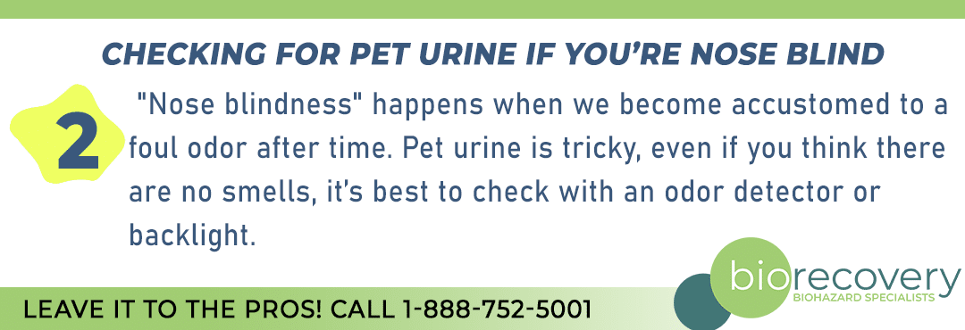 Checking for pet urine if you're nose blind