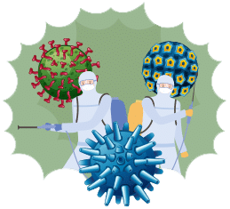 Examples of Non Enveloped Viruses