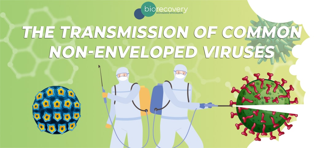 non-enveloped virus transmission