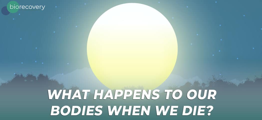 What happens to our bodies when we die?