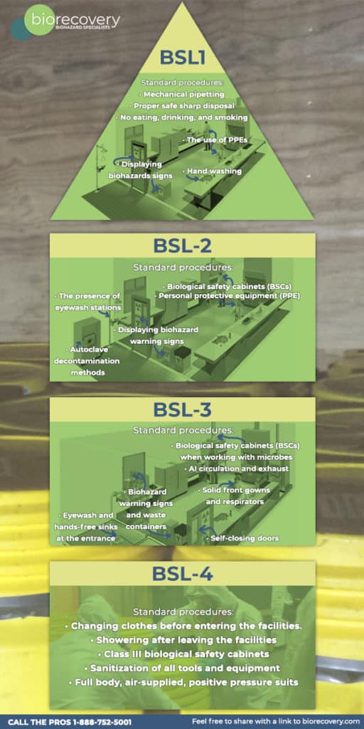 Biohazard Safety Levels (BSLs) Infographic