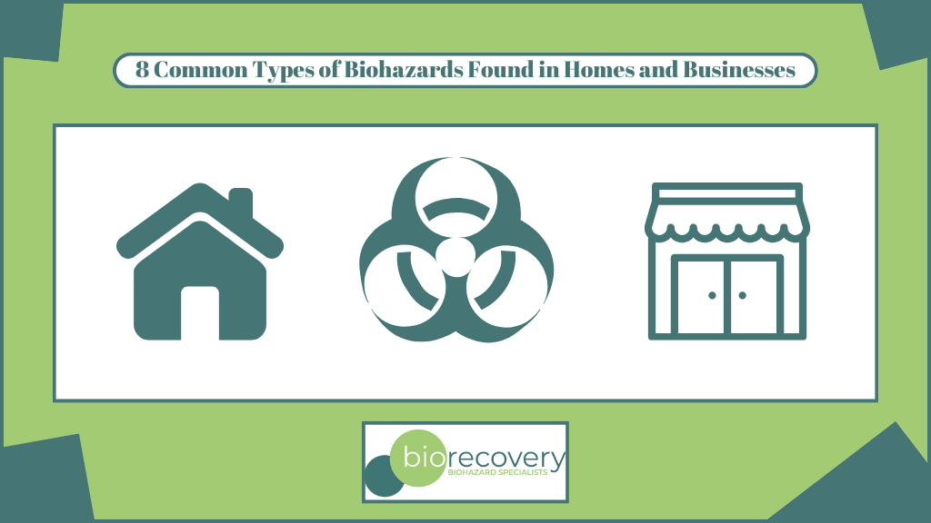 8 Common Types of Biohazards Found in Homes and Businesses